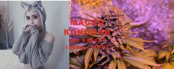 тгк Осташков