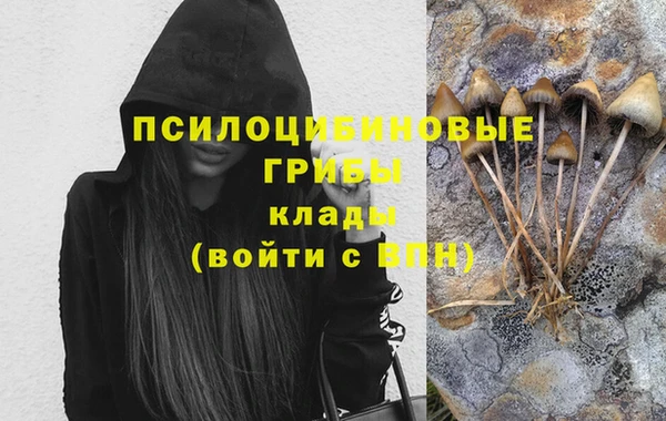 таблы Переславль-Залесский